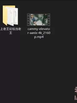 [自行打包] Aanix大佬新作cammy（街头霸王的嘉米）完整版4K 1币 [V1+1.38GB][百度盘]